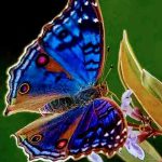 0519c24c100110691099bbf75f322b82