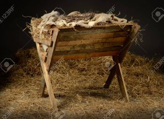 True Hope & Joy of Christmas