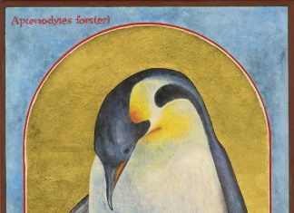 A Spirituality of Beauty