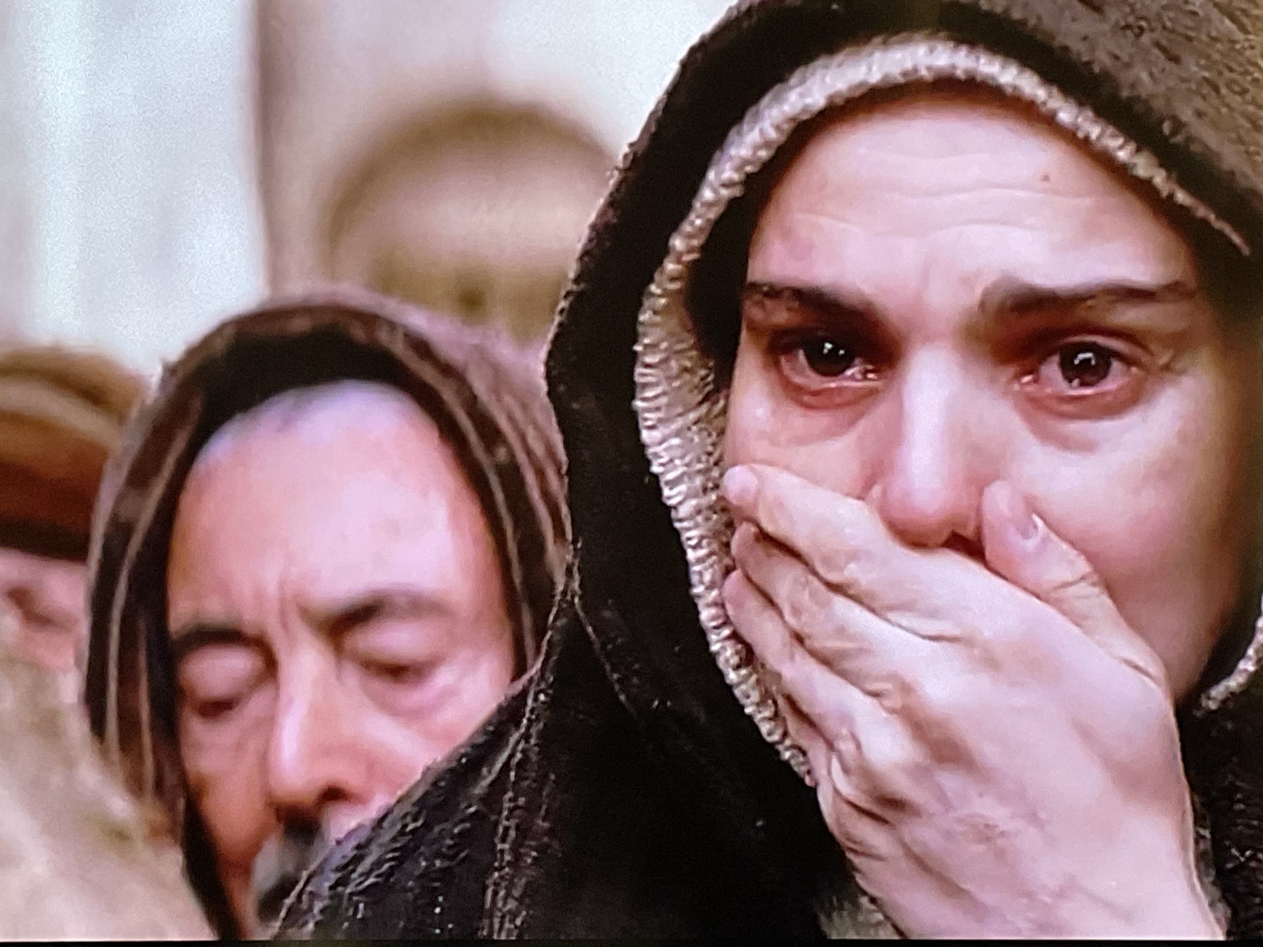 The Sorrowful Mysteries White Butterfly