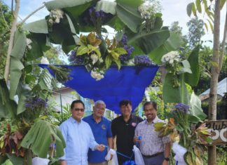 Blue Zone Summit, San Jose, Batangas