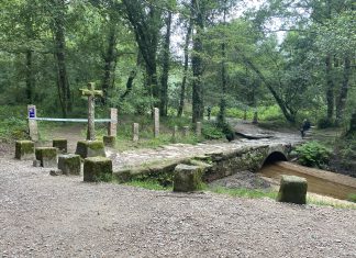 The Camino Called and We Said Yes