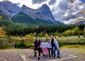 Divine Pathways:  Stories of Grace and Gratitude