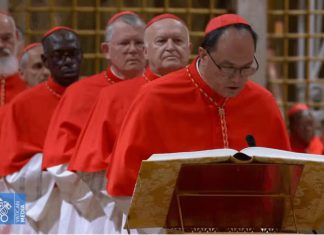 The Sistine Chapel: How it Spoke to Me…A Reflection on My Conclave Experience