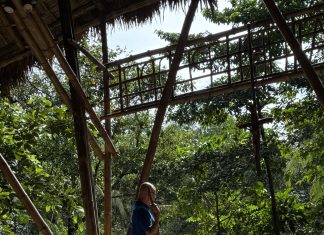 Finding Wholeness:  A Journey Through God, Nature, and People, A Reflection on ‘Cura Personalis’