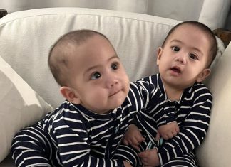 Reflections on the Circle of Life