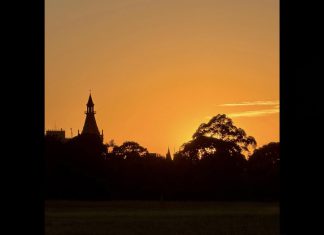 The Shadow that Shines